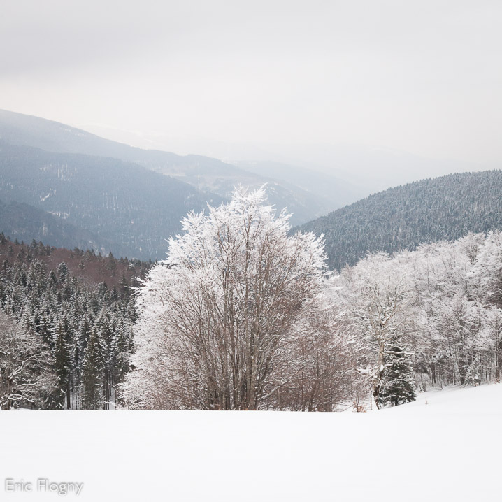 eric-flogny-9420